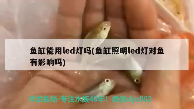 魚缸底部開裂怎么修復圖解（ 魚缸底部開裂怎么修復圖解大全） 魚缸底部開裂怎么修復圖解（ 魚缸底部開裂怎么修復圖解大全） 速倍妥魚糧魚藥 第2張