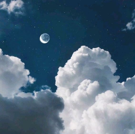 濟南魚缸定做，濟南魚缸定制 濟南魚缸定做，濟南魚缸定制 全國水族館企業名錄 第22張