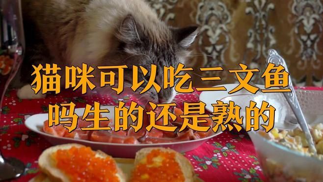 貓吃生魚(yú)還是熟魚(yú)好，《貓吃生魚(yú)還是熟魚(yú)好》關(guān)于貓咪食用生魚(yú)與熟魚(yú)的選擇一直存在爭(zhēng)議 貓吃生魚(yú)還是熟魚(yú)好，《貓吃生魚(yú)還是熟魚(yú)好》關(guān)于貓咪食用生魚(yú)與熟魚(yú)的選擇一直存在爭(zhēng)議 龍魚(yú)百科 第4張