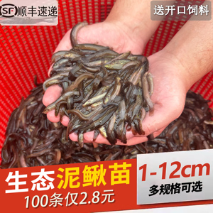 森森加熱棒故障代碼e4 森森魚缸 第2張 森森加熱棒故障代碼e4 森森加熱棒故障代碼e4 森森魚缸 第2張