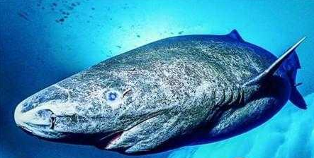 溫州魚缸加工廠家地址及電話多少（ 溫州魚缸加工廠家地址及電話多少啊） 溫州魚缸加工廠家地址及電話多少（ 溫州魚缸加工廠家地址及電話多少啊） 馬印水族 第1張