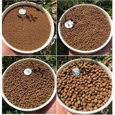 老魚匠加熱棒出現ee(老魚匠加熱棒出現Er) 老魚匠 第2張 老魚匠加熱棒出現ee(老魚匠加熱棒出現Er) 老魚匠加熱棒出現ee(老魚匠加熱棒出現Er) 老魚匠 第2張