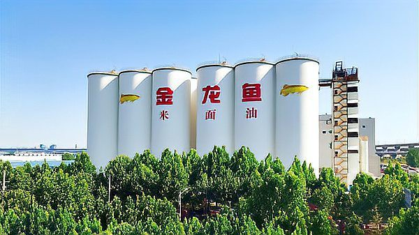 金龍魚在國際市場的布局進展如何？ 金龍魚在國際市場的布局進展如何？ 龍魚百科 第3張