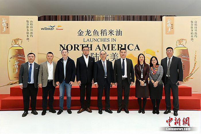 金龍魚在國際市場的布局進展如何？ 金龍魚在國際市場的布局進展如何？ 龍魚百科 第1張