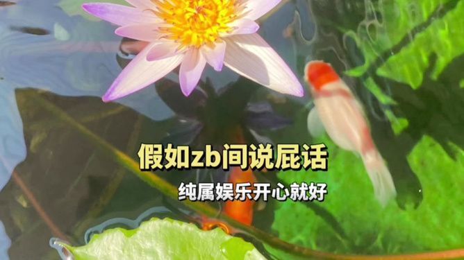 速倍妥ss3怎么樣 （速倍妥效果怎么樣） 速倍妥ss3怎么樣 （速倍妥效果怎么樣） 速倍妥 第2張