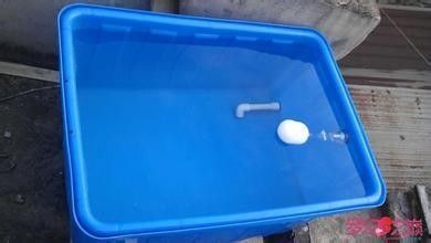 哈爾濱哪里賣魚缸比較好看實惠的（哈爾濱哪里賣魚缸比較好看實惠的魚）