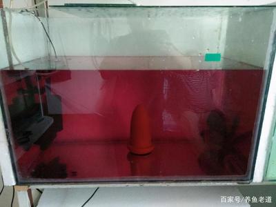 全球魚缸品牌排行榜(國內知名魚缸品牌) iwish愛唯希品牌魚缸 第2張 全球魚缸品牌排行榜(國內知名魚缸品牌) 全球魚缸品牌排行榜(國內知名魚缸品牌) iwish愛唯希品牌魚缸 第2張