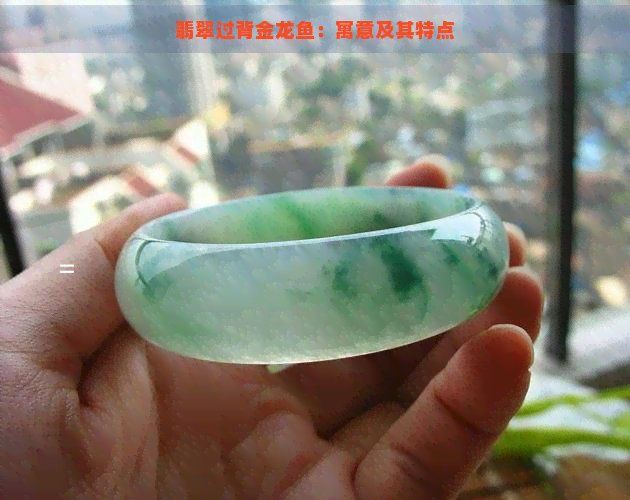 金龍魚藍底過背的寓意，金龍魚中的藍底過背品種具有多重寓意與價值 金龍魚藍底過背的寓意，金龍魚中的藍底過背品種具有多重寓意與價值 龍魚百科 第1張