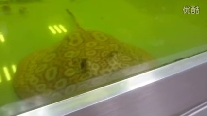 老魚匠氧氣泵維修(老漁匠氧氣泵壞了)