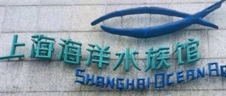 水族館買(mǎi)什么的（關(guān)于水族館購(gòu)買(mǎi)的一些重要細(xì)節(jié)）