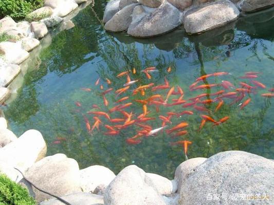 大型水族店怎么加熱的(大型水族店使用哪種加熱方式) yee 第2張 大型水族店怎么加熱的(大型水族店使用哪種加熱方式) 大型水族店怎么加熱的(大型水族店使用哪種加熱方式) yee 第2張
