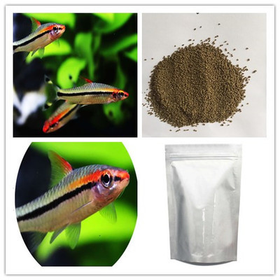 包頭觀賞魚市場孟吉爾～萬吉養不兜的嘴