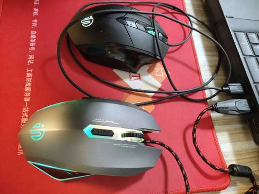 珠海水族館推薦龍魚世家水族館 (珠海水族館 龍魚世家水族館口碑好) 黃金貓魚百科 第2張 珠海水族館推薦龍魚世家水族館 (珠海水族館 龍魚世家水族館口碑好) 珠海水族館推薦龍魚世家水族館 (珠海水族館 龍魚世家水族館口碑好) 黃金貓魚百科 第2張