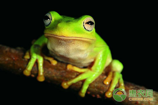 莆田可麗愛魚缸專賣店電話：莆田可麗愛魚缸專賣店，打造水族愛好者的夢幻家園