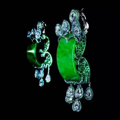 普通金龍魚圖片大全（普通金龍魚價格多少錢一條）