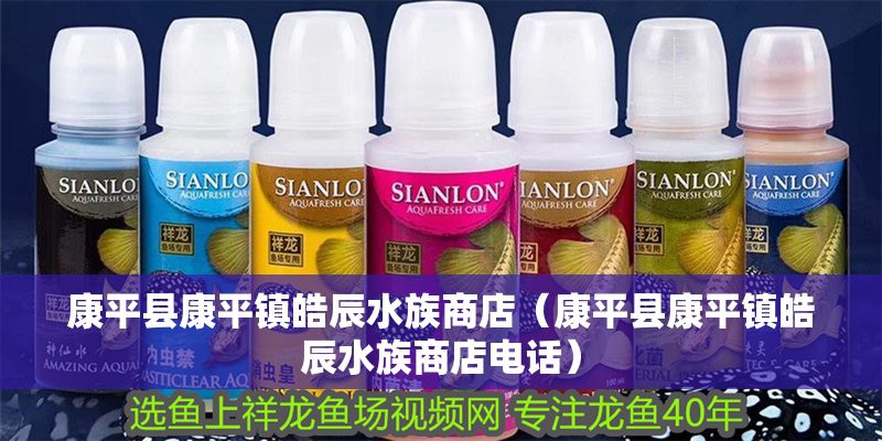 康平水族店，康平水族店哪個口碑好
