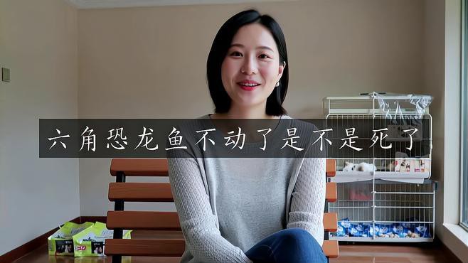 恐龍魚一直游來游去不動了