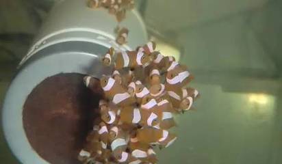 光特億加熱棒哪款好用又實惠(光特億加熱棒怎么設置溫度) 光特億加熱棒哪款好用又實惠(光特億加熱棒怎么設置溫度) 光特億 第1張