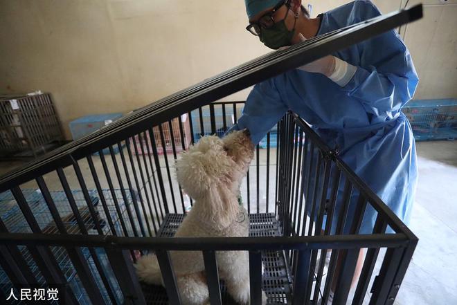 伊罕加熱棒正確使用方法視頻(伊罕加熱棒好在哪里) 伊罕加熱棒正確使用方法視頻(伊罕加熱棒好在哪里) 伊罕水族 第1張