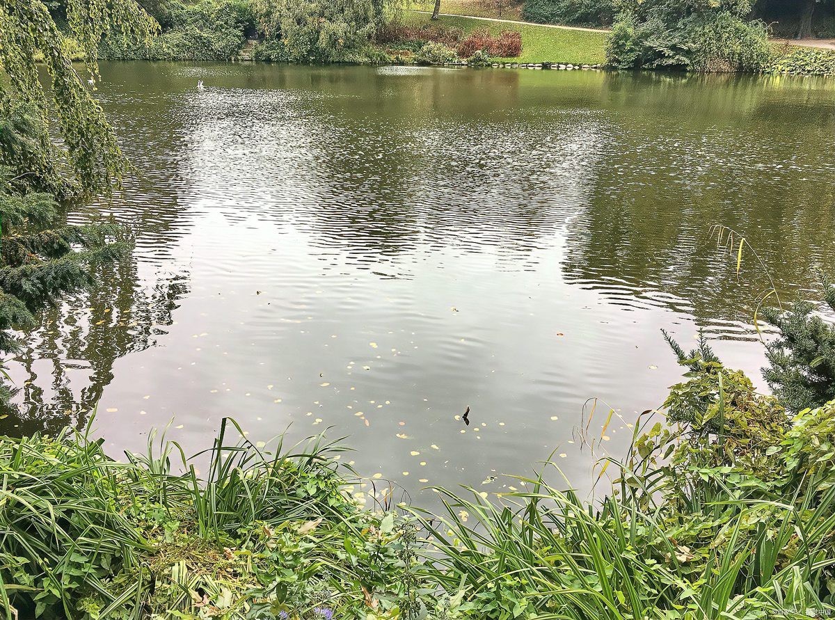 淡水鱸魚好養嗎，淡水鱸魚怎么養殖 淡水鱸魚好養嗎，淡水鱸魚怎么養殖 龍魚論壇 第7張
