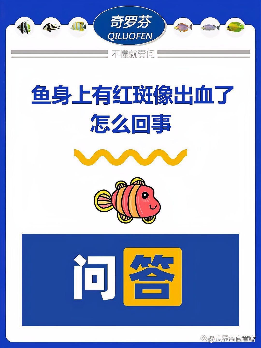 魚身上有紅色淤血，新說，魚身上有紅色淤血是什么原因