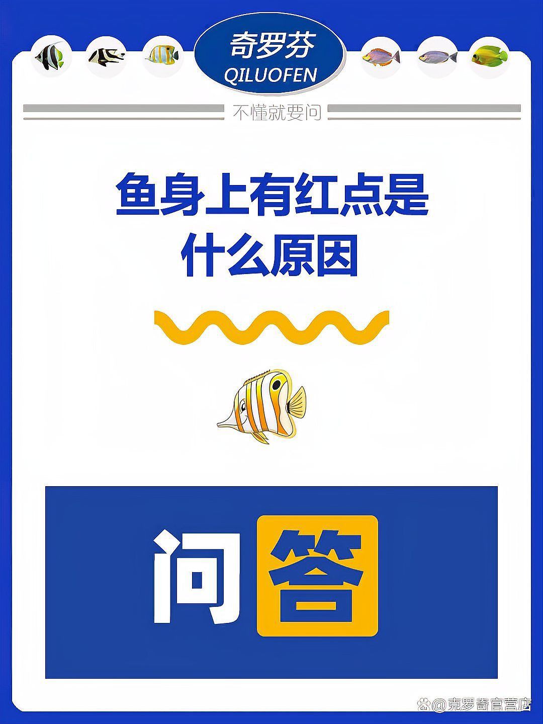 魚身上有紅色淤血，新說，魚身上有紅色淤血是什么原因