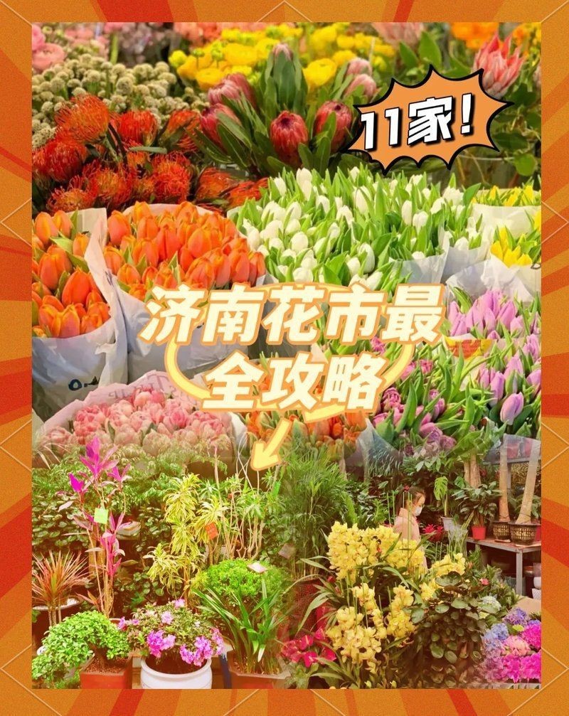 濟(jì)南水族批發(fā)市場(chǎng)，濟(jì)南柏寧水族批發(fā)市場(chǎng)