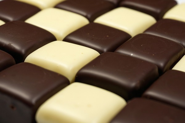 元寶鳳凰魚疾病預防：元寶鳳凰魚的養殖密度預防措施