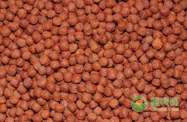 金龍魚如何看品相圖解(怎么看金龍魚的品質) 金龍魚百科 第1張 金龍魚如何看品相圖解(怎么看金龍魚的品質) 金龍魚如何看品相圖解(怎么看金龍魚的品質) 金龍魚百科 第1張