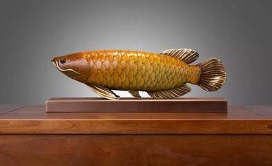 金龍魚寓意什么意思和象征【金龍魚寓意什么意思】