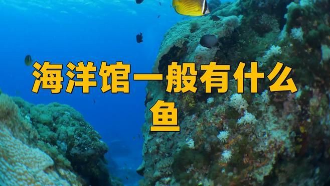 水族館特色魚種，十種特點(diǎn)最明顯的觀賞魚，看看你養(yǎng)過幾種雷龍魚,孔雀魚,鱷雀鱔