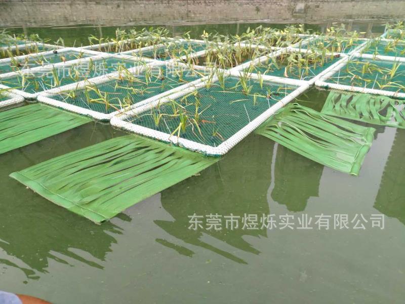 1米深的魚缸怎么造景：1米深的魚缸造景步驟和注意事項