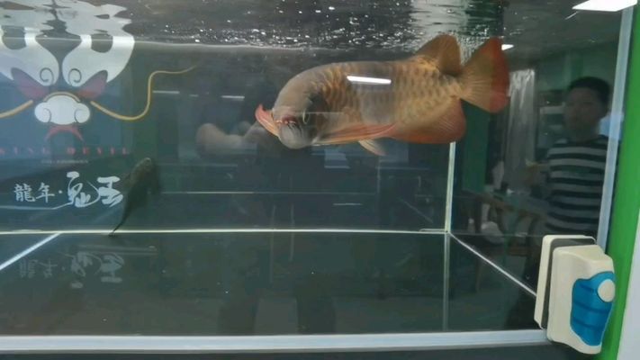 伊罕350轉子怎么拆(伊罕350轉子拆機圖)