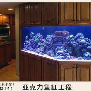 徐州魚缸批發市場，徐州魚缸批發市場是當地及周邊地區重要水族產品集散地