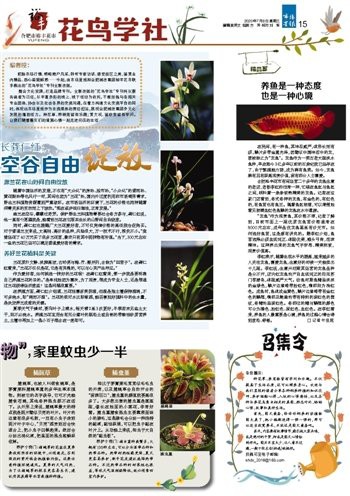 光澤龍魚店，光澤龍魚店光澤龍魚價格是多少光澤龍魚的特點有哪些