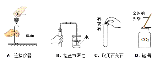 森森的cp