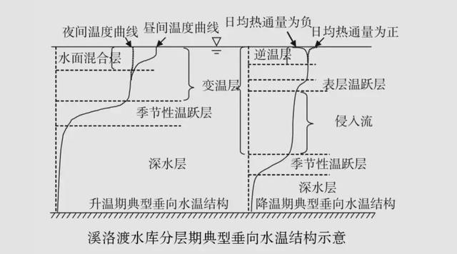 金龍魚品種價格排行