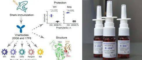 魚缸困水10天還能用嗎 可麗愛魚缸 第2張 魚缸困水10天還能用嗎 魚缸困水10天還能用嗎 可麗愛魚缸 第2張