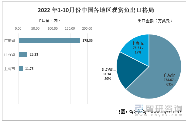 銀龍魚和地圖魚混養(yǎng)要求(銀龍魚可以和地圖混養(yǎng)嗎) 銀龍魚和地圖魚混養(yǎng)要求(銀龍魚可以和地圖混養(yǎng)嗎) 銀龍魚百科 第1張