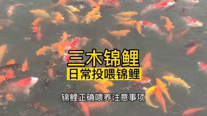 開一個水族館一年能賺多少錢人民幣（開一個水族館一年能賺多少錢）