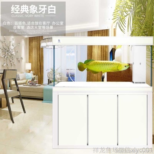 馬印超白龍魚缸專業龍魚缸12米15米18米2米大中小型龍魚缸 馬印超白龍魚缸專業龍魚缸12米15米18米2米大中小型龍魚缸 馬印水族 第3張