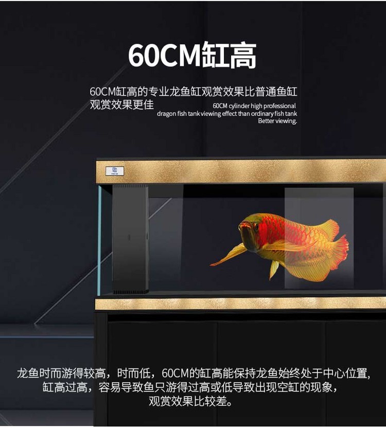馬印超白龍魚缸專業龍魚缸12米15米18米2米大中小型龍魚缸 馬印超白龍魚缸專業龍魚缸12米15米18米2米大中小型龍魚缸 馬印水族 第49張