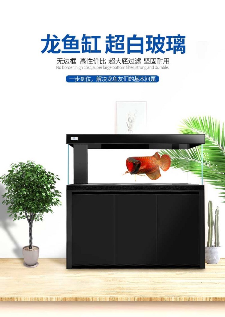 馬印超白龍魚缸專業龍魚缸12米15米18米2米大中小型龍魚缸 馬印超白龍魚缸專業龍魚缸12米15米18米2米大中小型龍魚缸 馬印水族 第43張