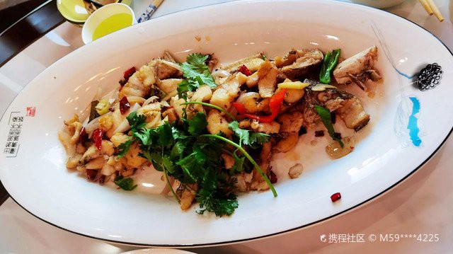 伽師龍魚店，伽師龍魚店有哪些龍魚品種 伽師龍魚店，伽師龍魚店有哪些龍魚品種 全國水族館企業名錄 第10張