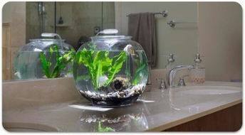 宣城哪里有賣魚缸的實體店鋪啊圖片(宣城哪里有賣金魚的) 九鼎魚缸 第1張 宣城哪里有賣魚缸的實體店鋪啊圖片(宣城哪里有賣金魚的) 宣城哪里有賣魚缸的實體店鋪啊圖片(宣城哪里有賣金魚的) 九鼎魚缸 第1張