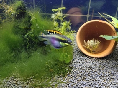 沂水縣都市花鄉花卉店