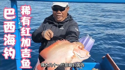淄博張店哪里賣魚缸的多一點兒(張店哪里有賣水缸的) 元寶鳳凰魚百科 第2張 淄博張店哪里賣魚缸的多一點兒(張店哪里有賣水缸的) 淄博張店哪里賣魚缸的多一點兒(張店哪里有賣水缸的) 元寶鳳凰魚百科 第2張