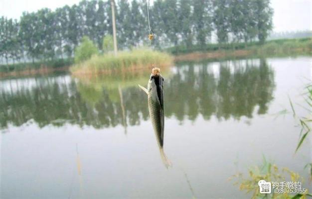 魚缸氧氣泵不冒泡怎么辦呢(養魚氧氣泵不冒泡怎么辦) iwish愛唯希品牌魚缸 第1張 魚缸氧氣泵不冒泡怎么辦呢(養魚氧氣泵不冒泡怎么辦) 魚缸氧氣泵不冒泡怎么辦呢(養魚氧氣泵不冒泡怎么辦) iwish愛唯希品牌魚缸 第1張