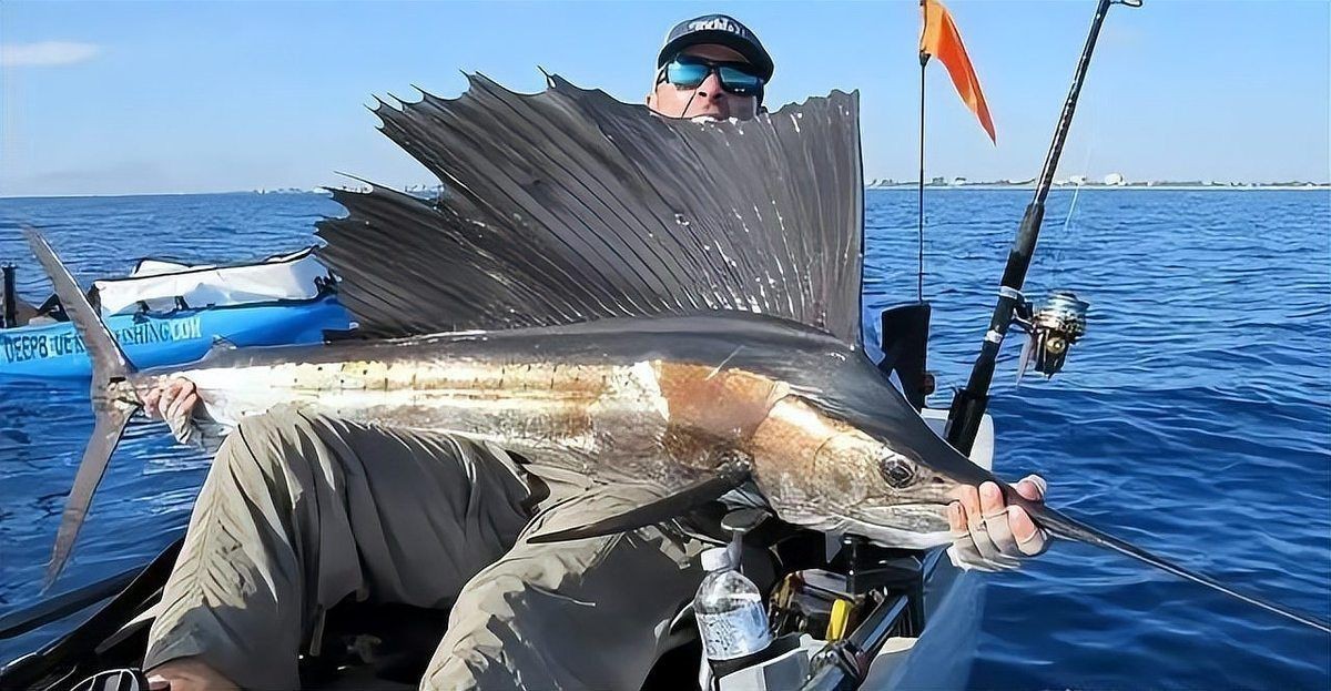 尖嘴的海魚【尖嘴海魚的生態(tài)特點(diǎn)】 尖嘴的海魚【尖嘴海魚的生態(tài)特點(diǎn)】 全國水族館企業(yè)名錄 第7張