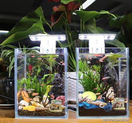 伊罕600配森森603(60缸伊罕600) 伊罕600配森森603(60缸伊罕600) 伊罕水族 第2張